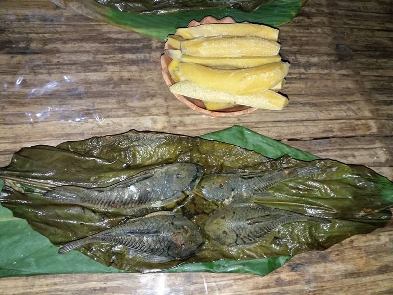 Mahito de carachama.