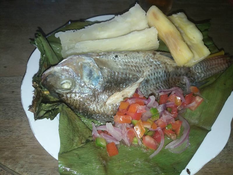 Mahito de Tilapia