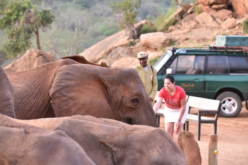Walking with Ellies Safari - Ithumba Option | 7 Days 6 Nights