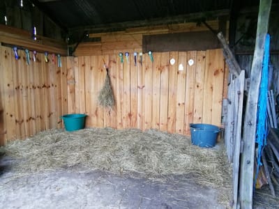 Hébergement Équidés  image