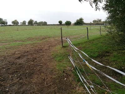 Hébergement Équidés  image