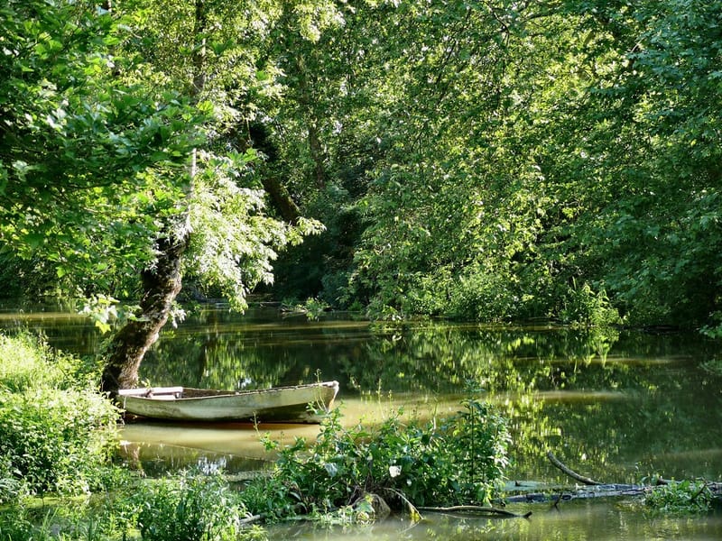 Le Marais Poitevin