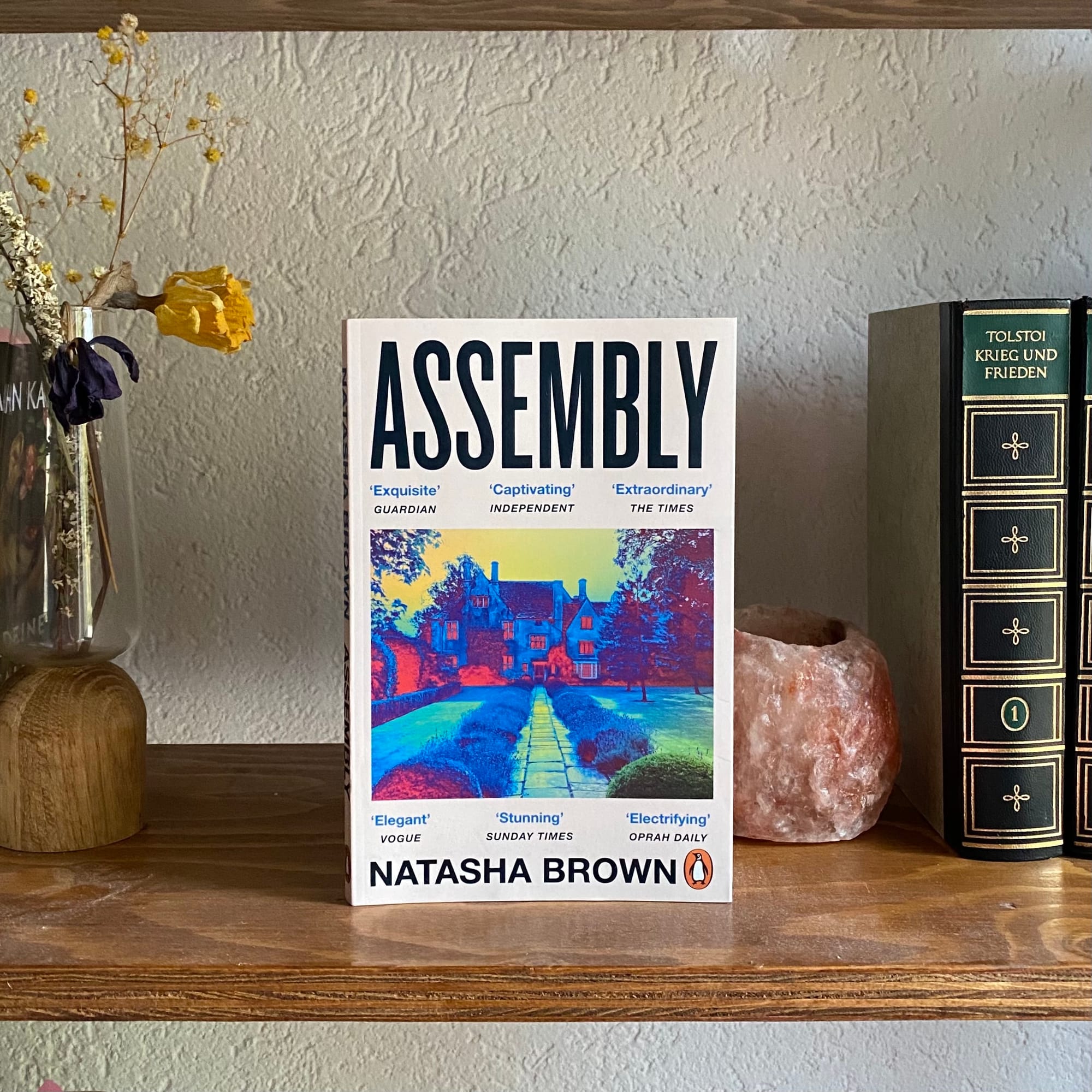 Assembly - Natasha Brown: Review