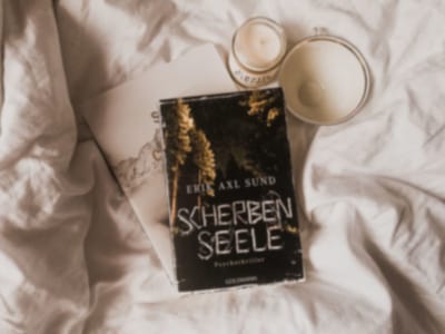 Review: Scherbenseele by Erik Axl Sund