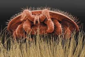 May 11th Zoom meeting