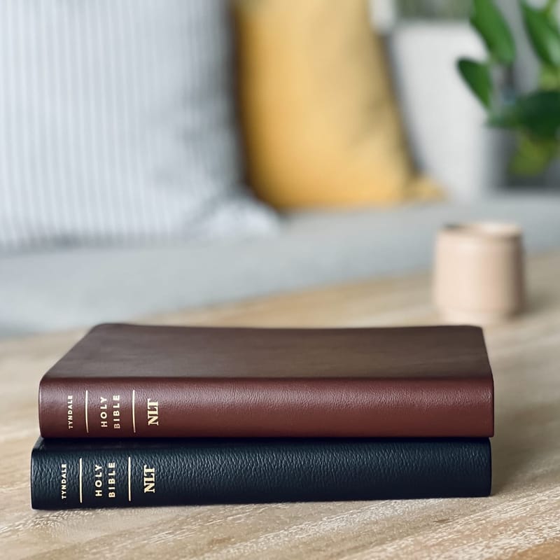 Translation and Proofreading Services