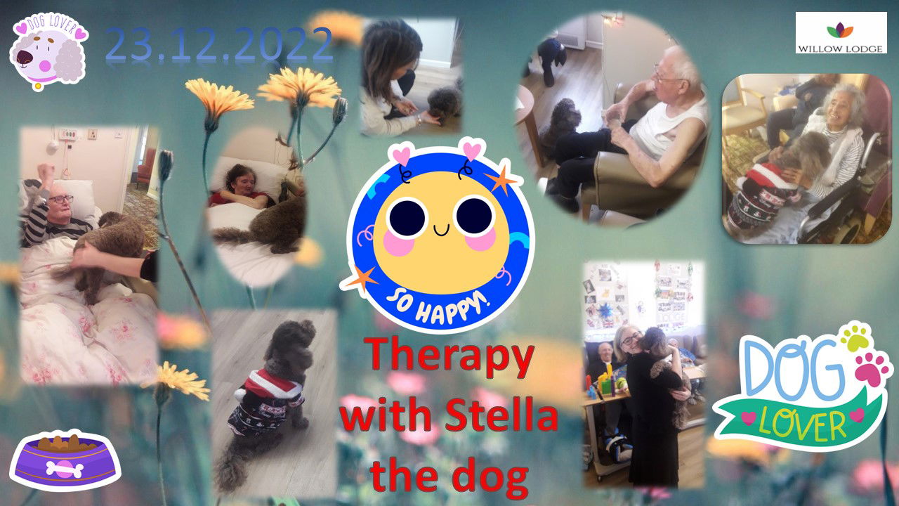 Dog therapy with Stella