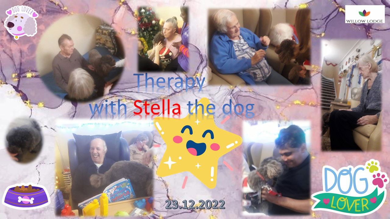 Dog therapy with Stella