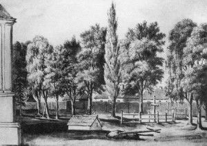 «Зямля, дзе пачаўся мой лёс…»