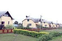 Вёсачка стаіць на ўзлесачку