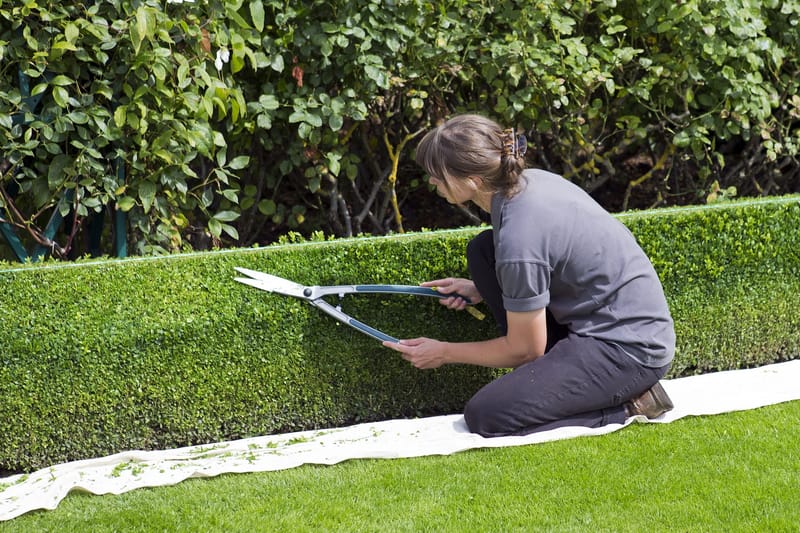 Jardinería