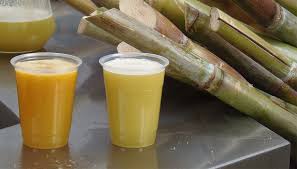 Bebidas tradicionales