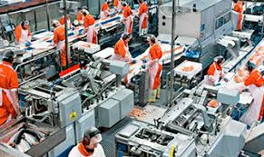 Principal fuente de empleo