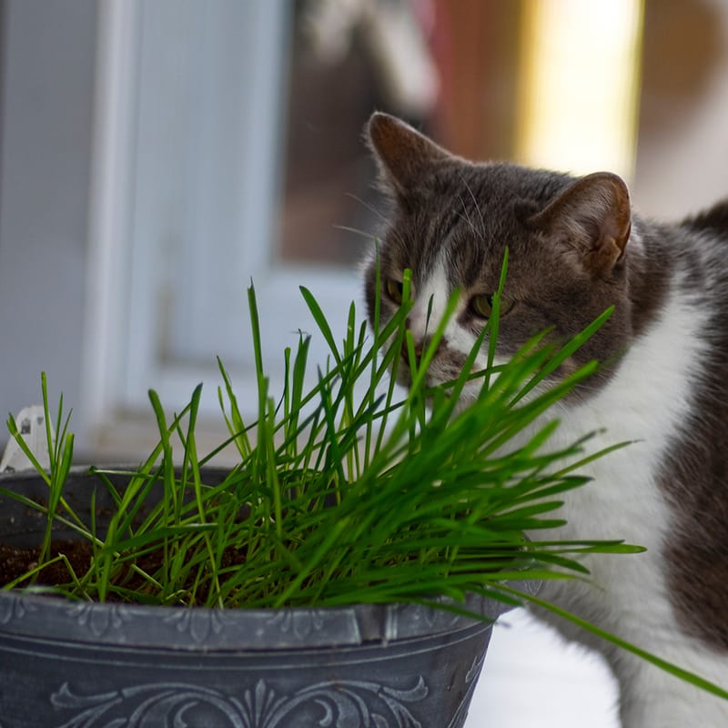 Intervention Needed!