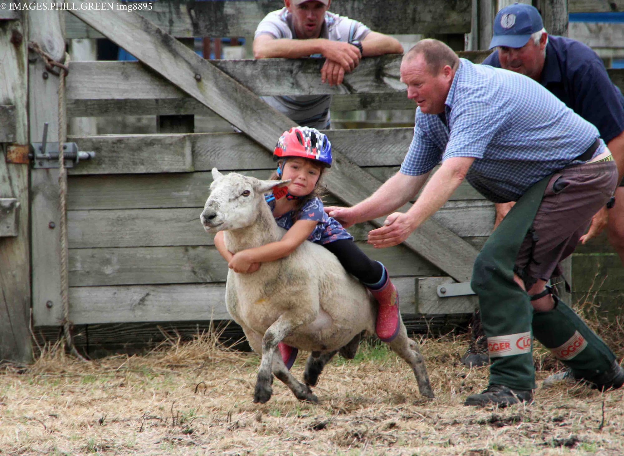 Rural New Zealand.