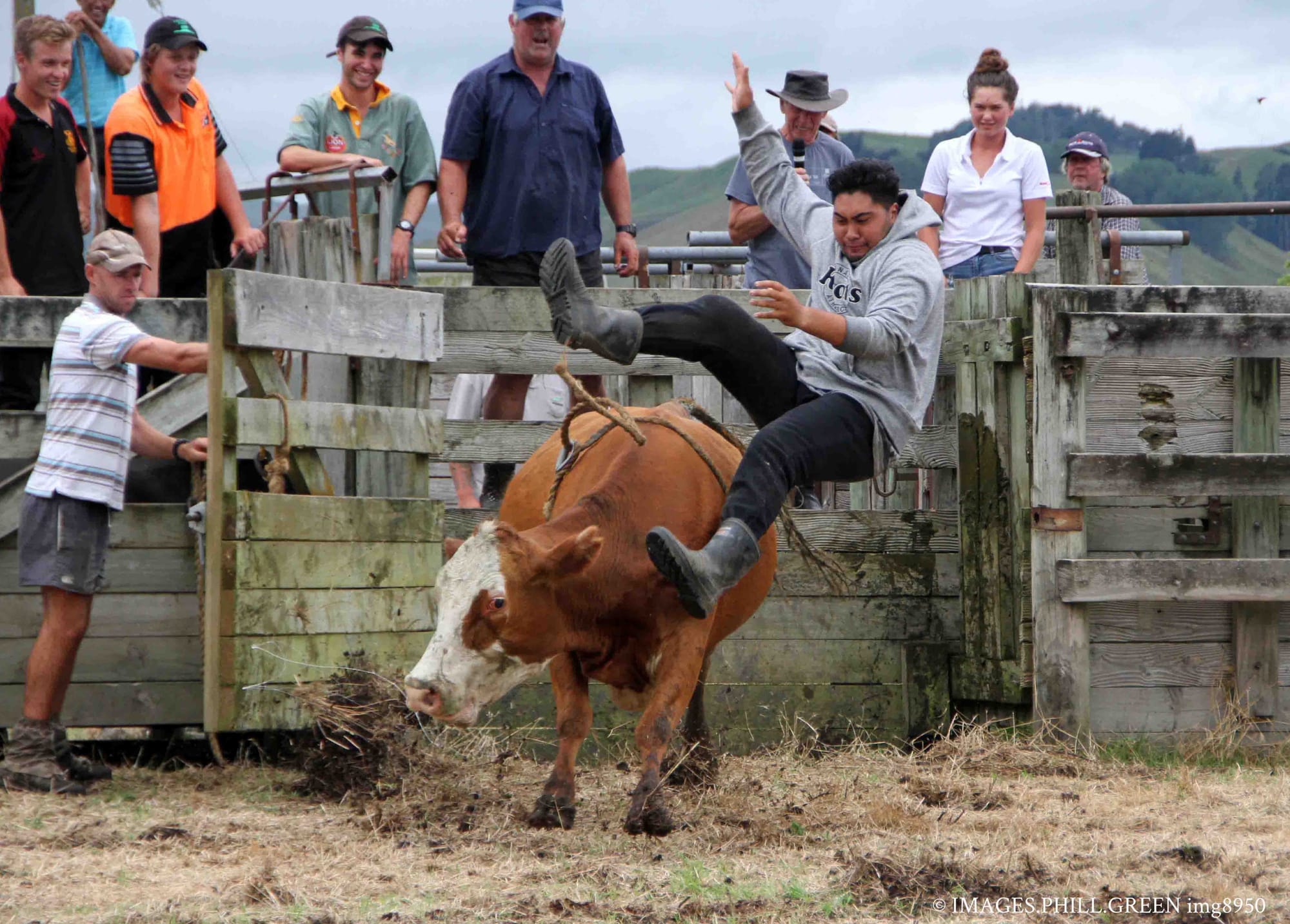 Rural New Zealand.
