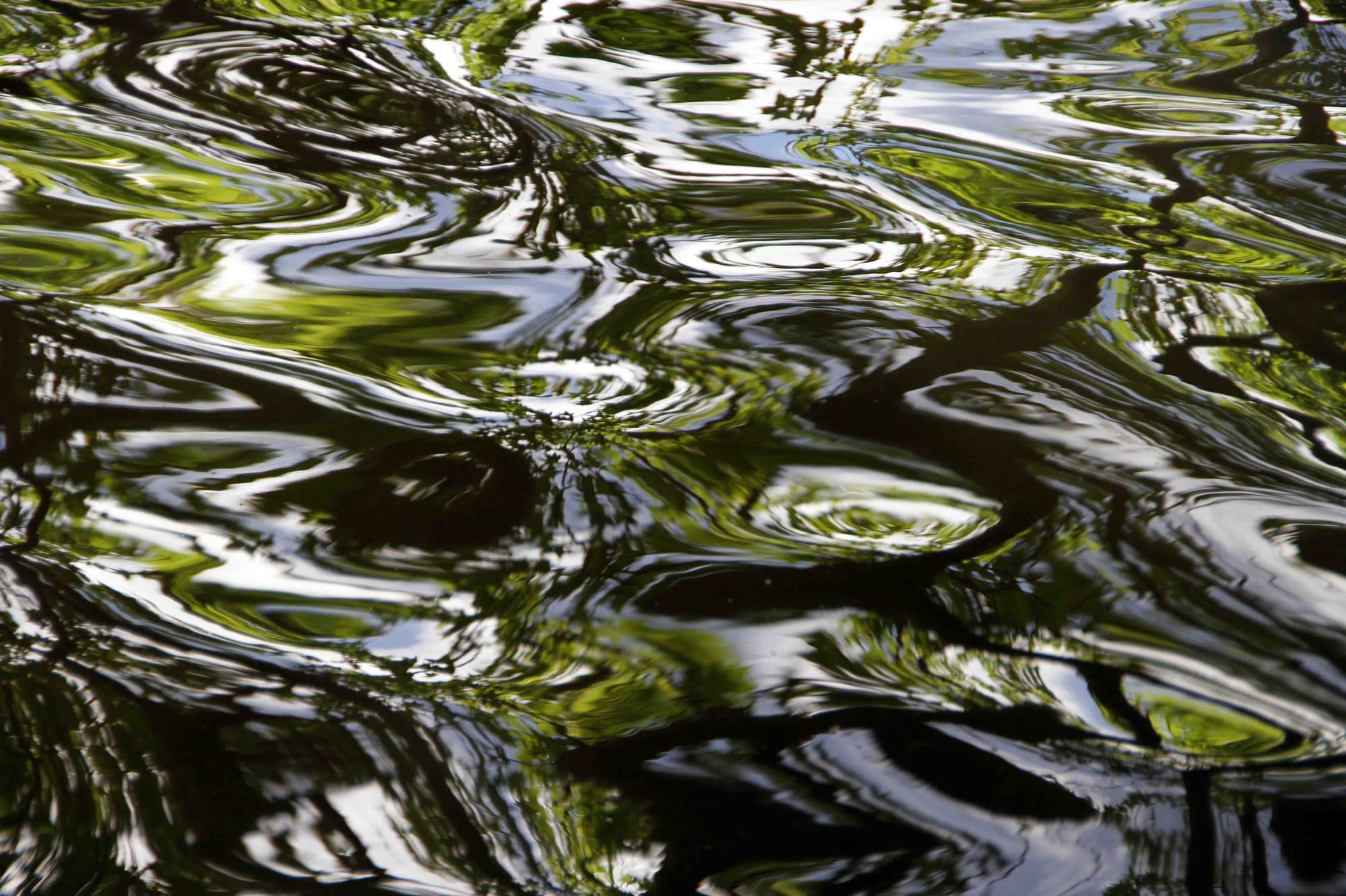 Virginia Lake Wanganui