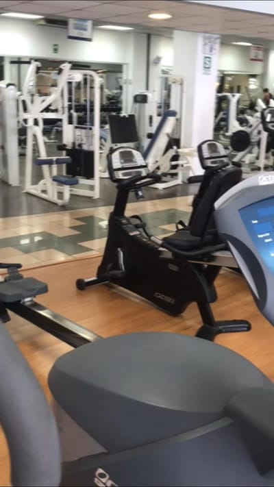Asistencia al gimnasio por verano image