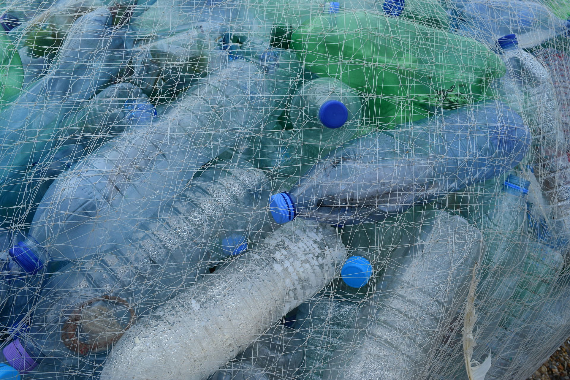 Reciclaje de botellas