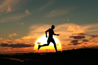 Para qué sirve la carrera?