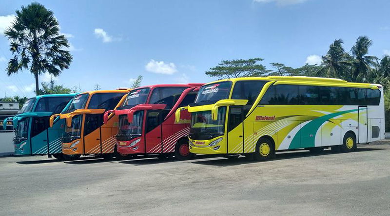 Medium & Big Bus