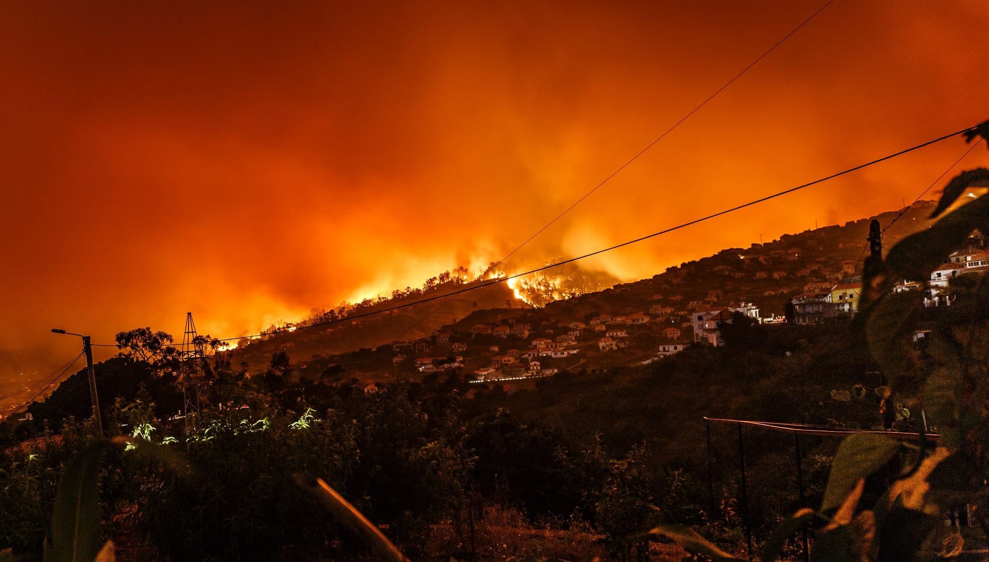 Electrical safety after a bushfire