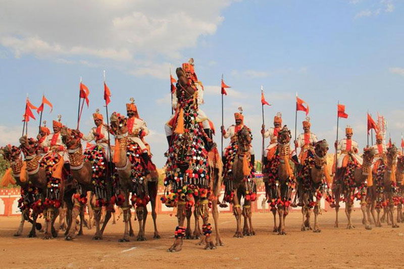 Desert Festival