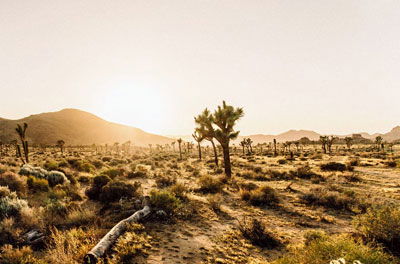 Desert National Park