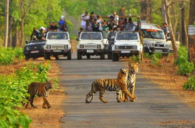 Sariska National Park