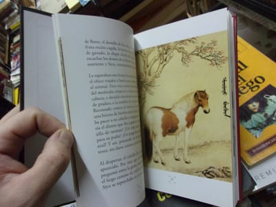 El caballo perdido del anciano sabio