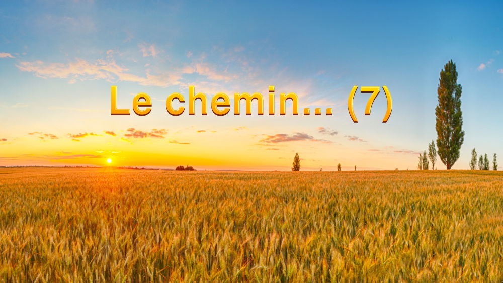 Le chemin… (7)