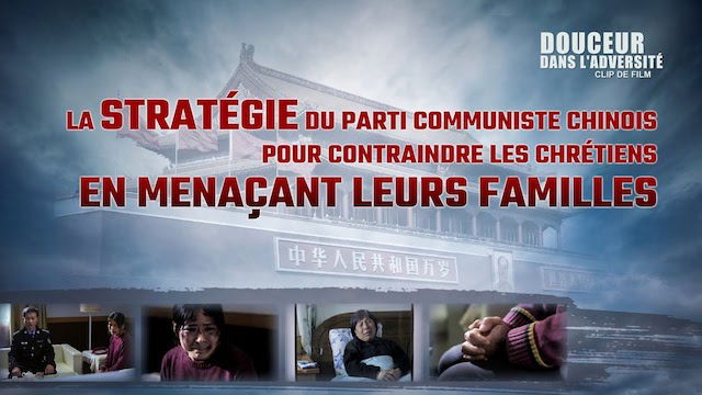 « Douceur dans l'adversité » (Partie 1/6)