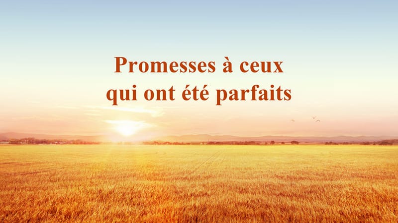 Promesses à ceux qui ont été parfaits