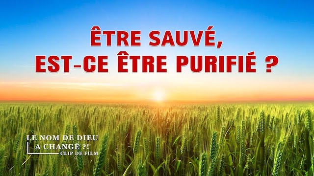 Être sauvé, est-ce être purifié ?