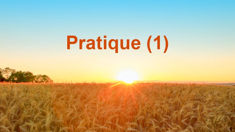 Pratique (1)