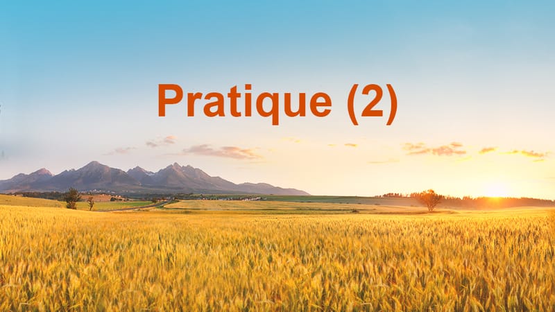 Pratique (2)