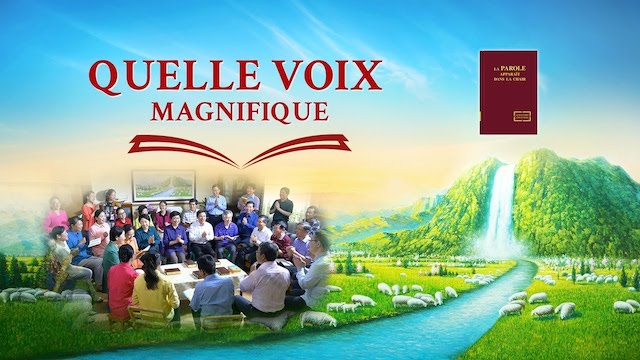 « Quelle voix magnifique »