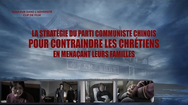 « Douceur dans l'adversité » (Partie 1/6)