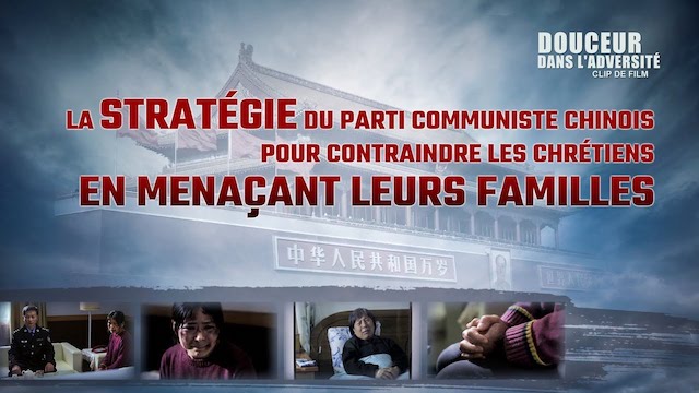 « Douceur dans l'adversité » (Partie 1/6)