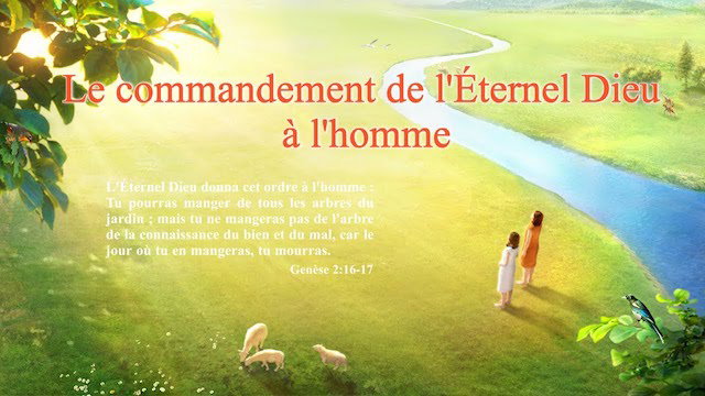 « Dieu Lui-même, l'Unique IV La sainteté de Dieu (I) »