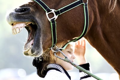 IGUALDAD HUMANA, SIN DEBATES DE GÉNERO.