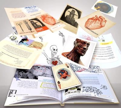 El consumo de té verde mejora el metabolismo y la salud general de los ratones obesos, según plantea un estudio