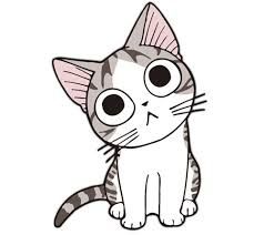 ACTIVIDAD SOBRE GATOS CARING FOR CATS image