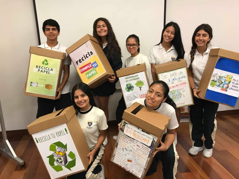 Organización de las cajas