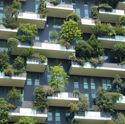 Eco Friendly Polished Concrete