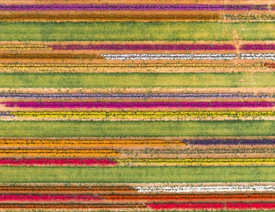 Tired & Outdated Floors?