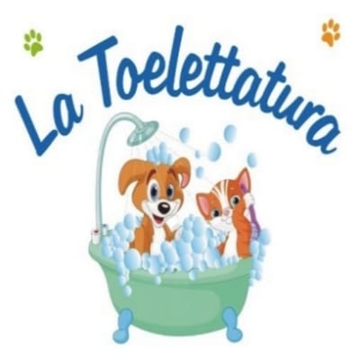 La Toelettatura Trevi (PG)