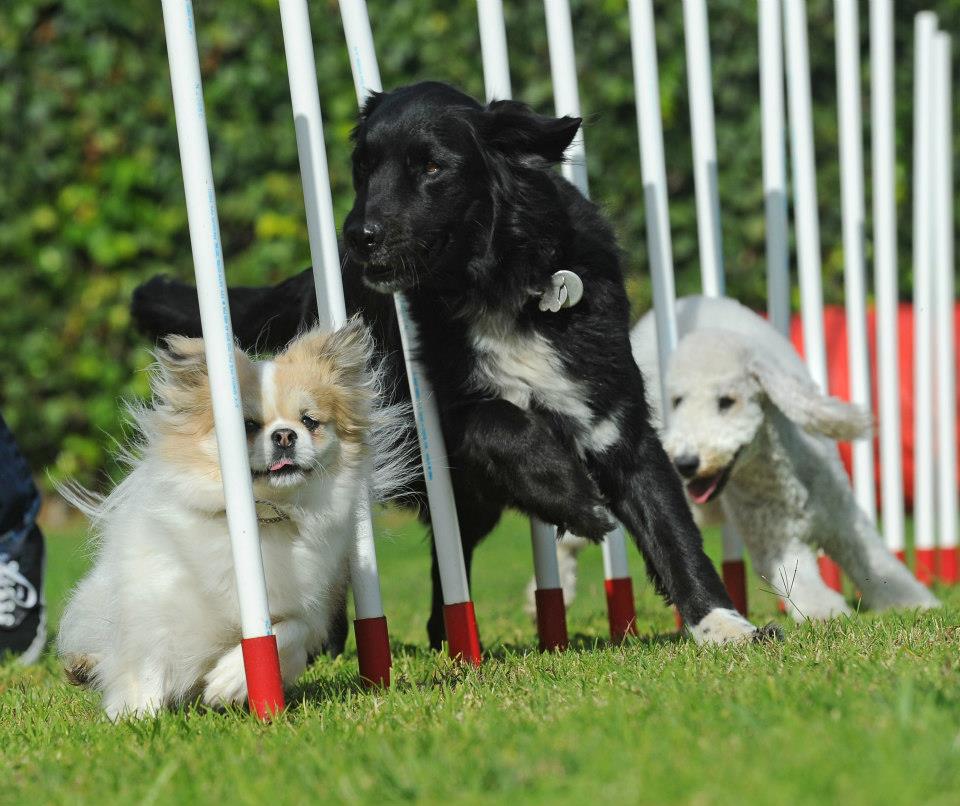 AGILITY