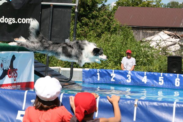 Dock jumping