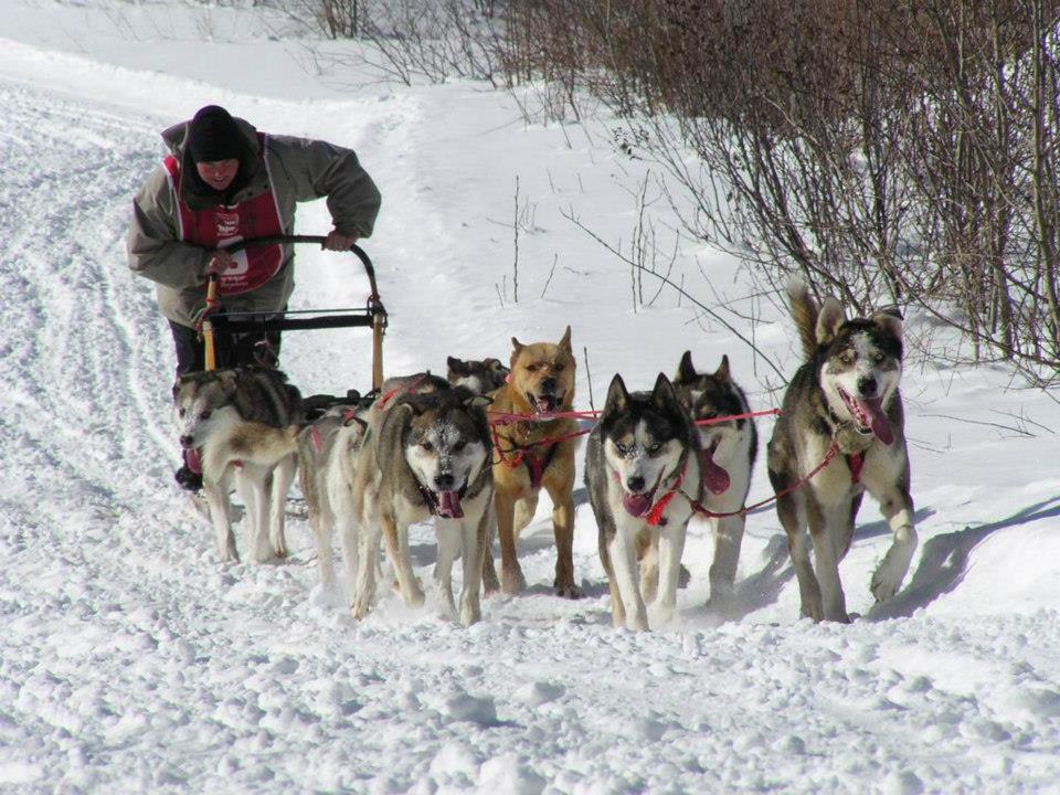 Mushing